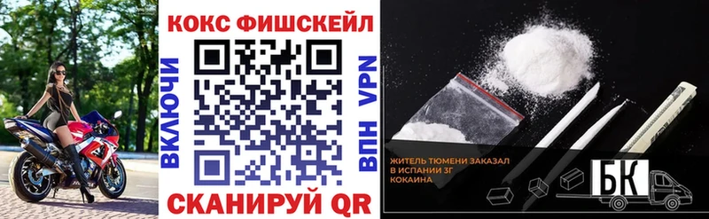 Купить закладки  Болгар  COCAIN Боливия 