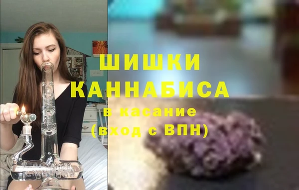 сатива Зерноград