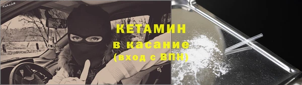 сатива Зерноград