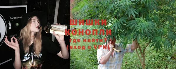 сатива Зерноград