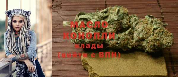 дмт Инта
