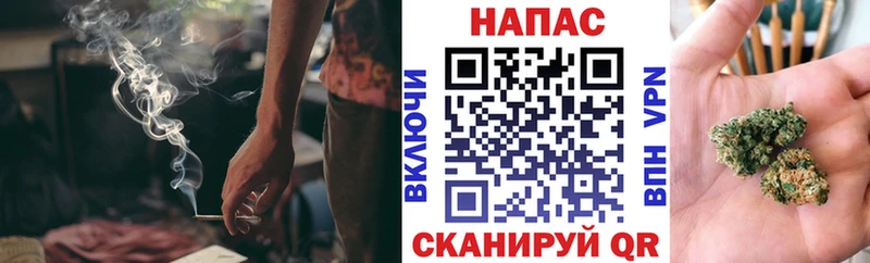 Купить где  Болгар  Канабис MAZAR 